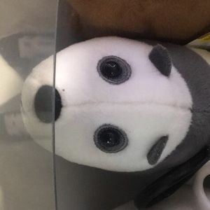 Meet your Posher, Jocelyn